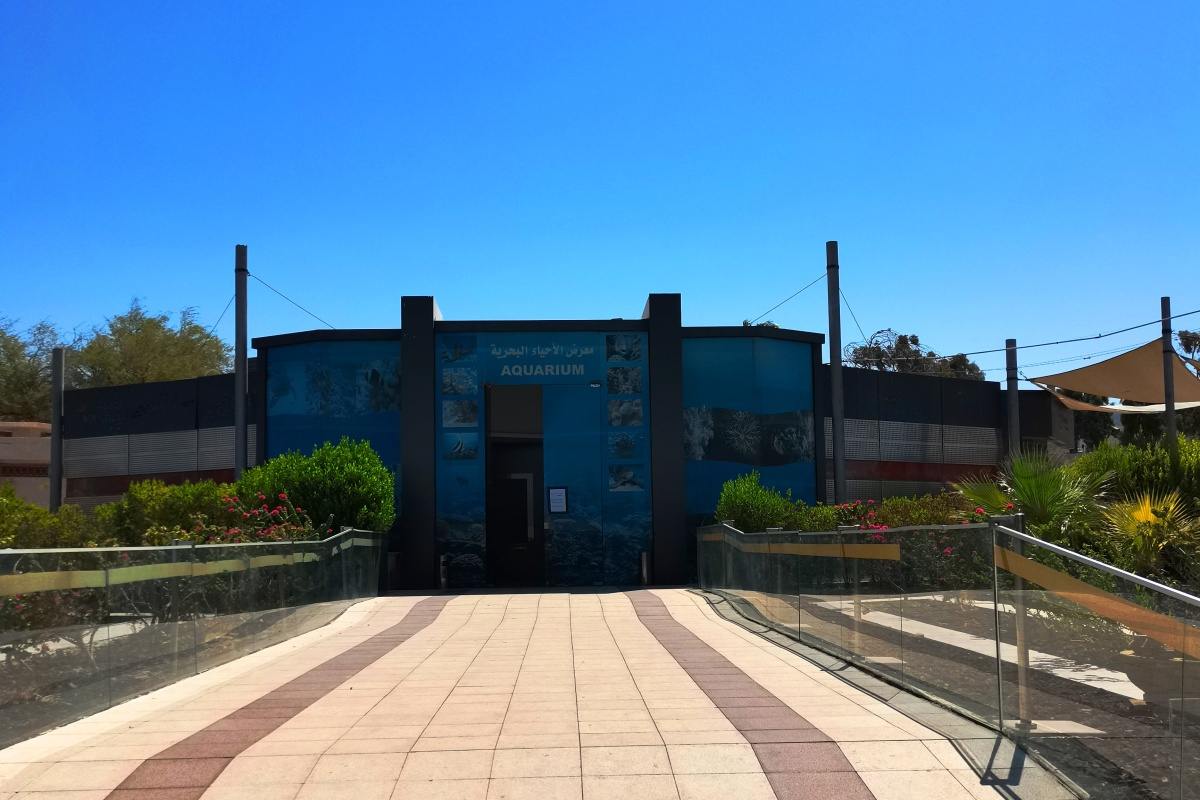 Marine Science Station