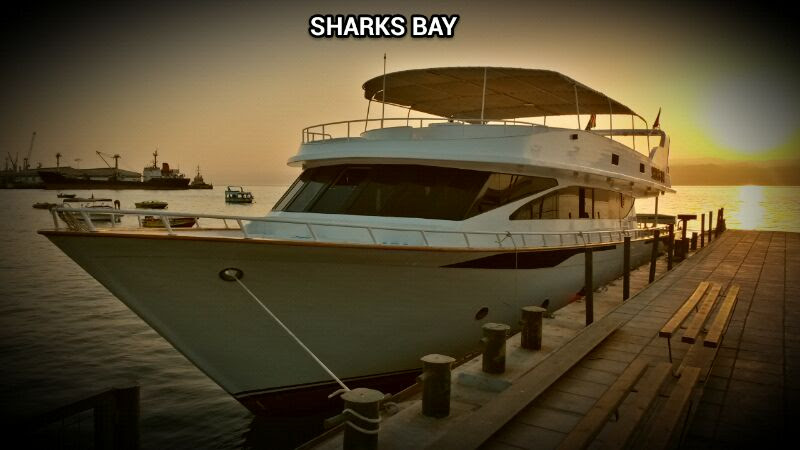 Snorkeling Trip (Boat)