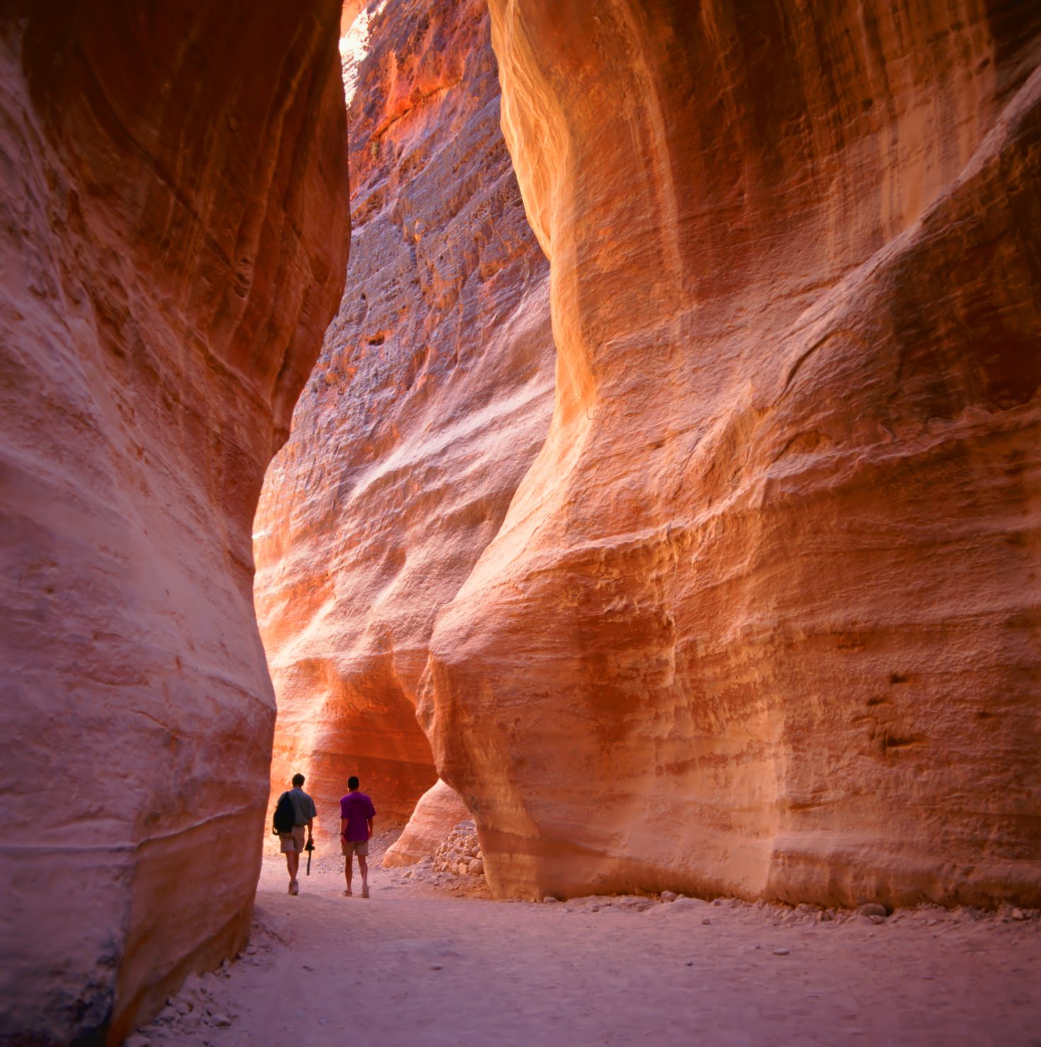 Petra and Wadi Rum Two Day Tour from Tel Aviv