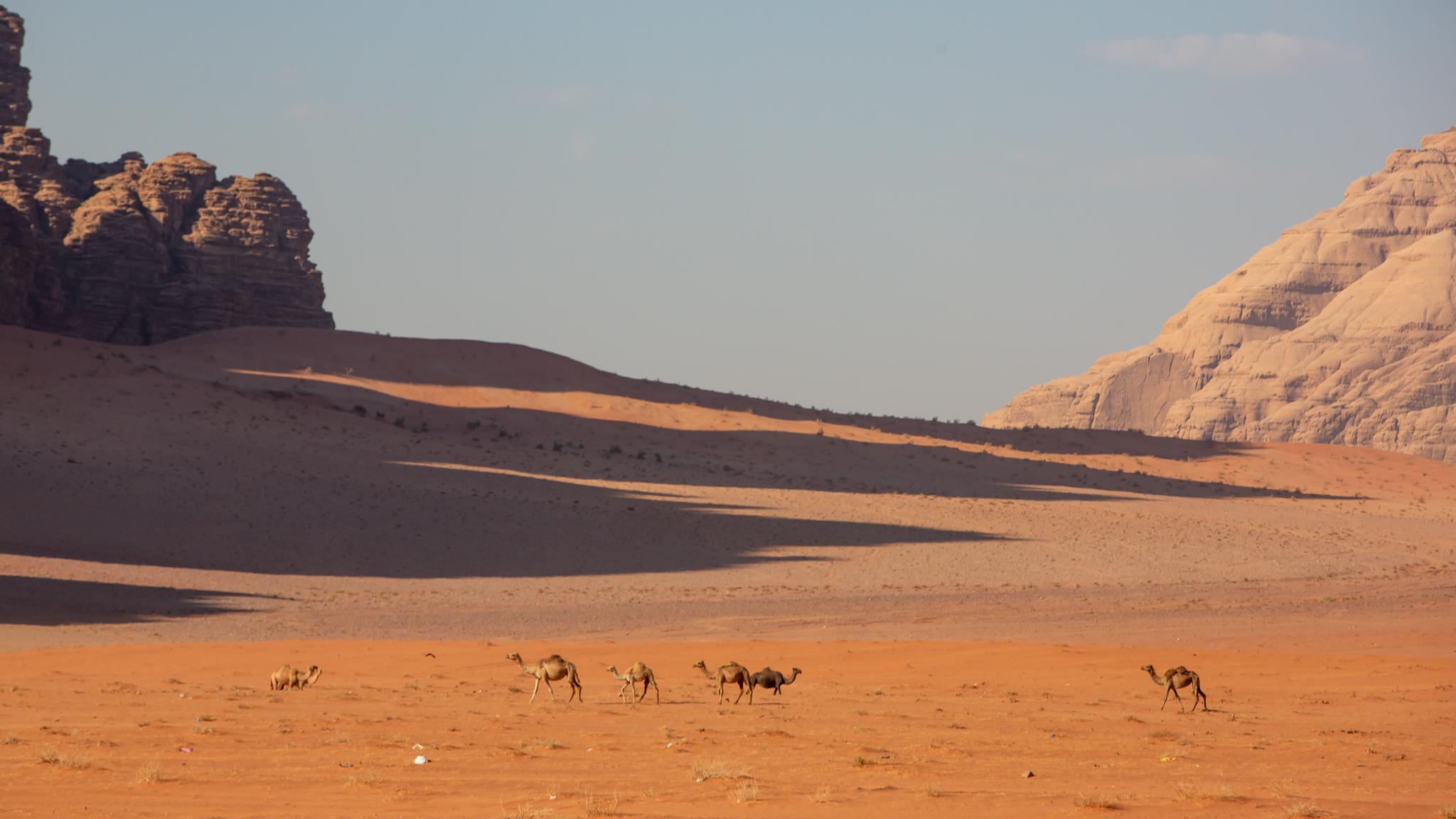 Petra and Wadi Rum Three Day Tour from Eilat