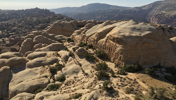 Desert Moon Tours