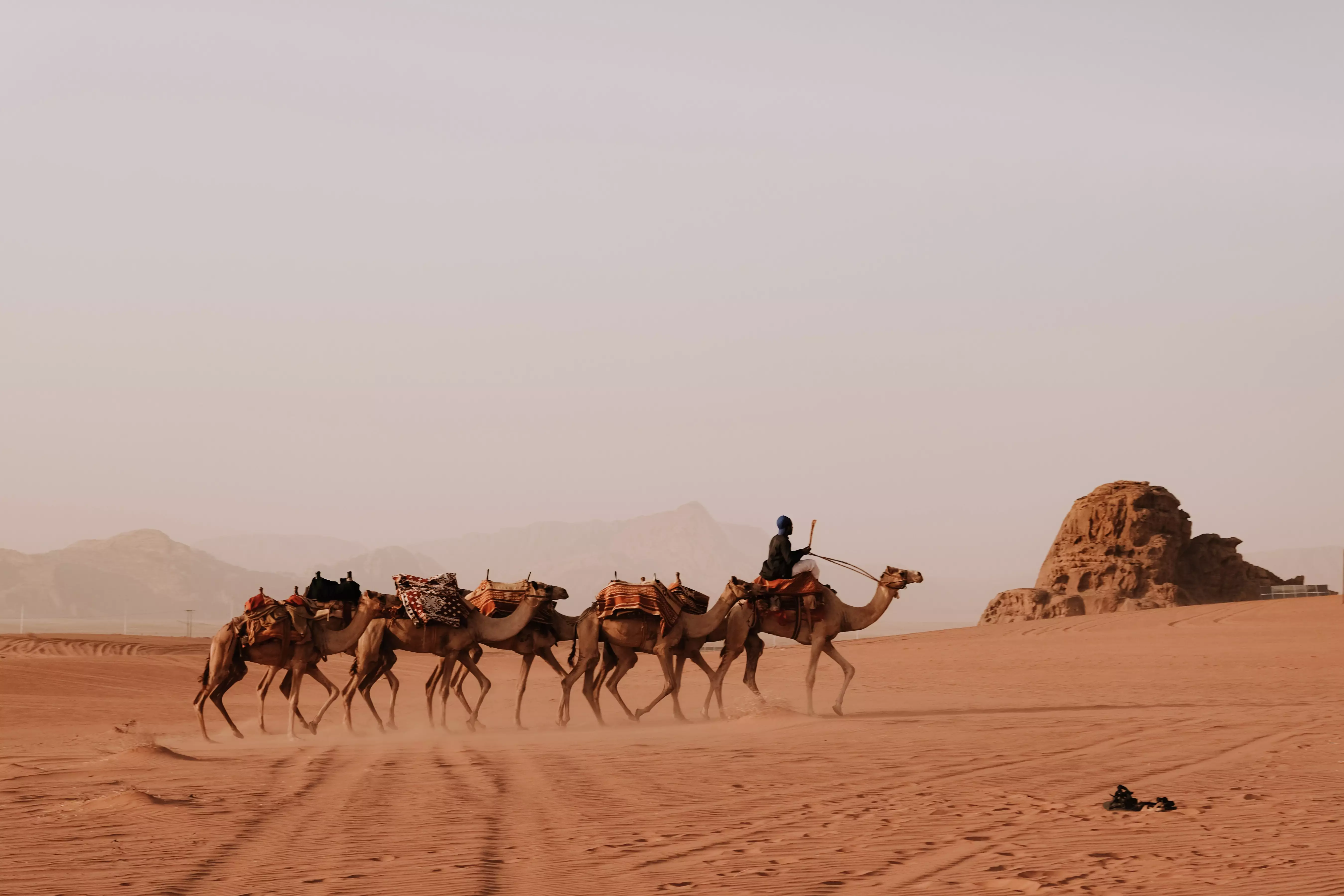 From Dead Sea: Wadi Rum One-Day Trip