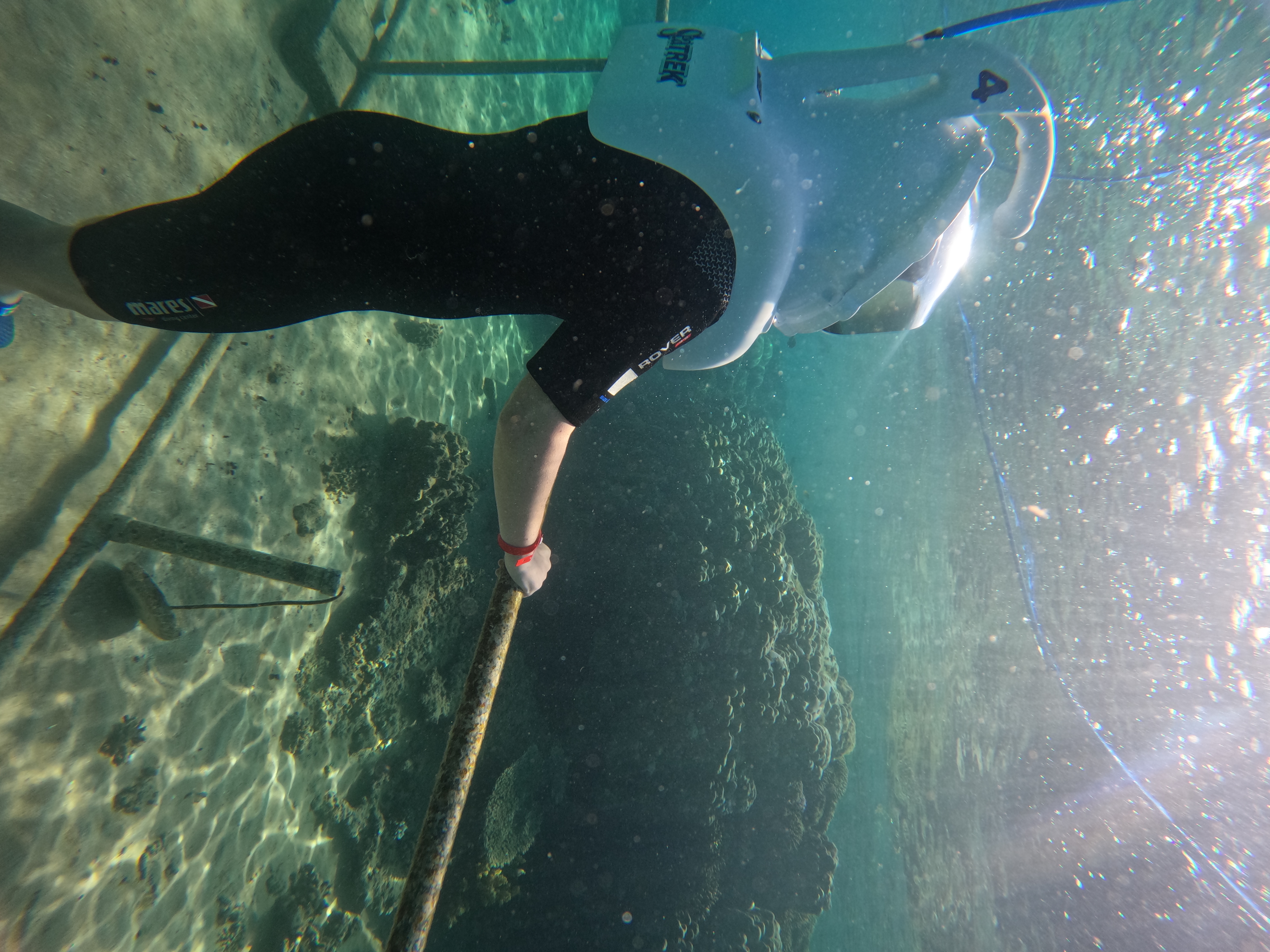 Royal Sea Trek