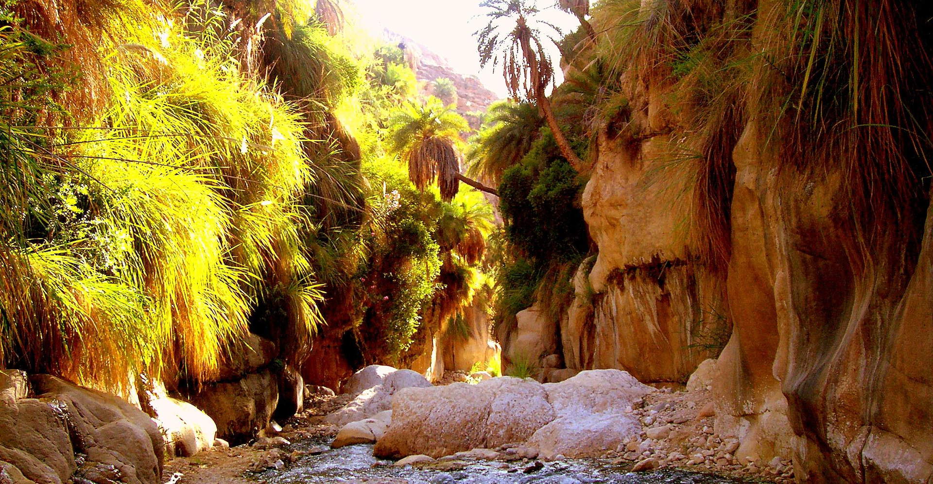From Amman : Wadi Bin Hammad