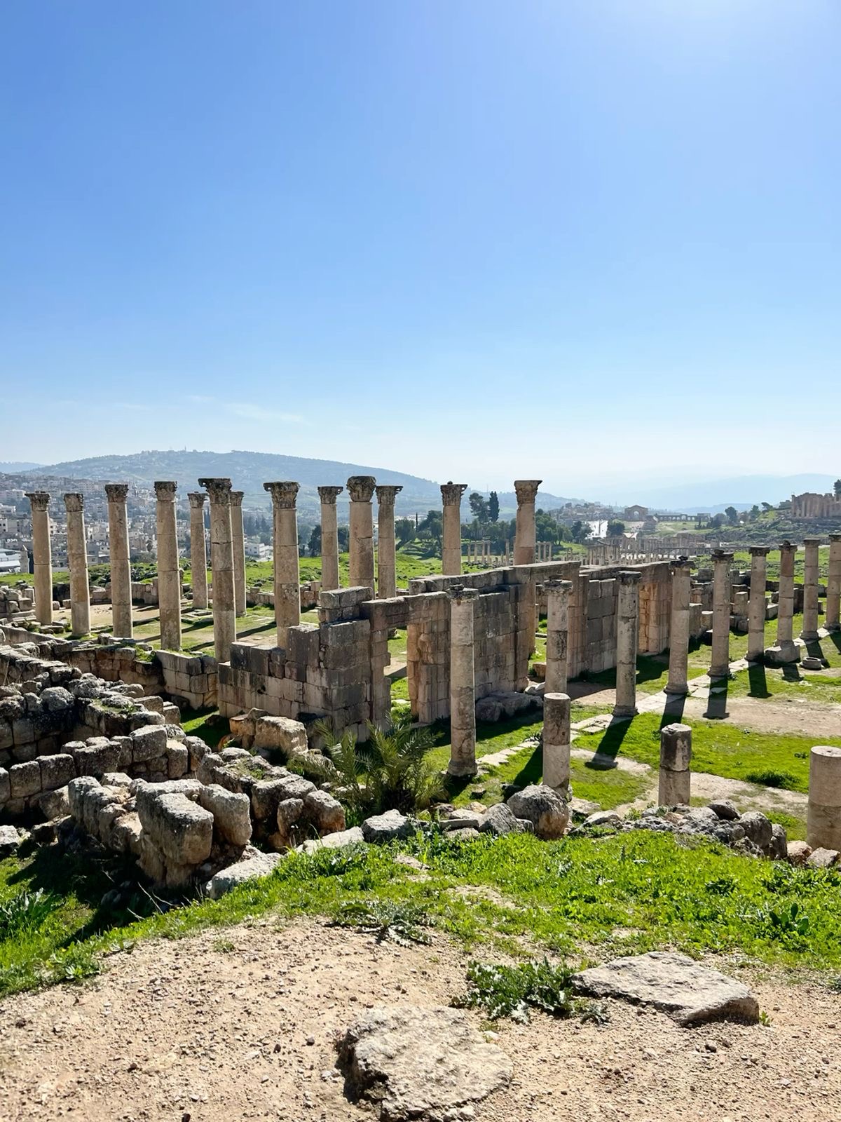 From Amman: Jerash and Ajloun Private Full-Day Trip