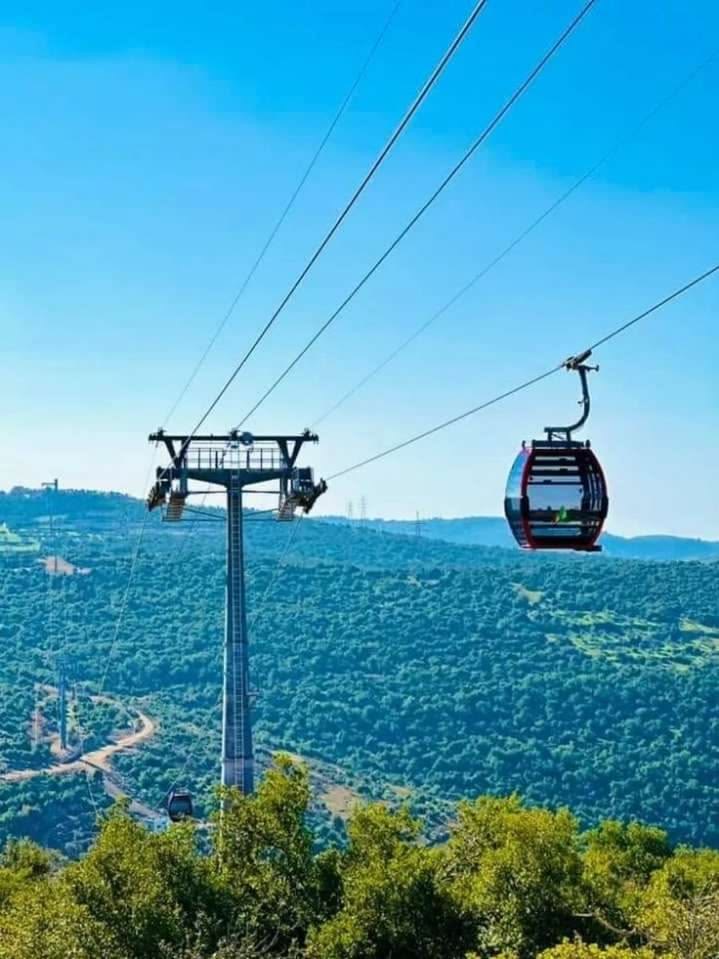 From Amman: Jerash and Ajloun Private Full-Day Trip