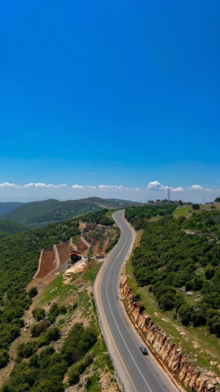 From Amman: Jerash and Ajloun Private Full-Day Trip