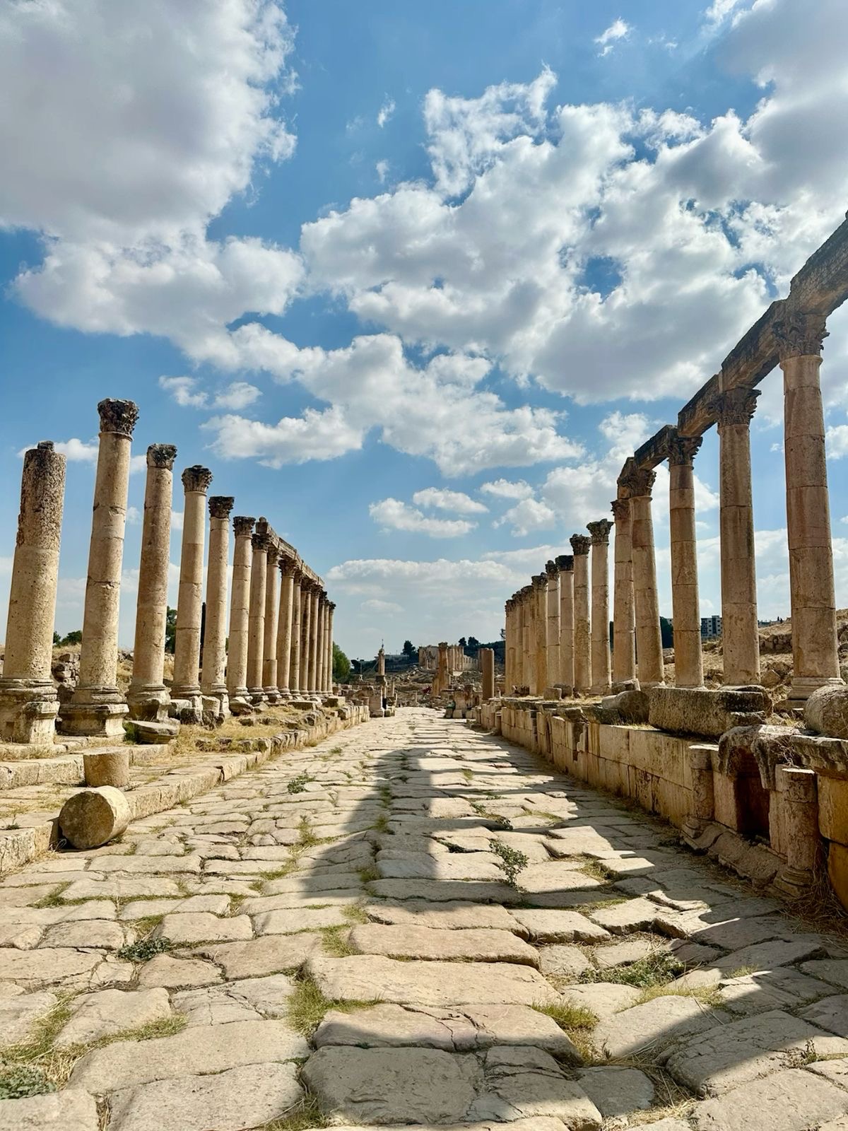 From Amman: Jerash and Ajloun Private Full-Day Trip