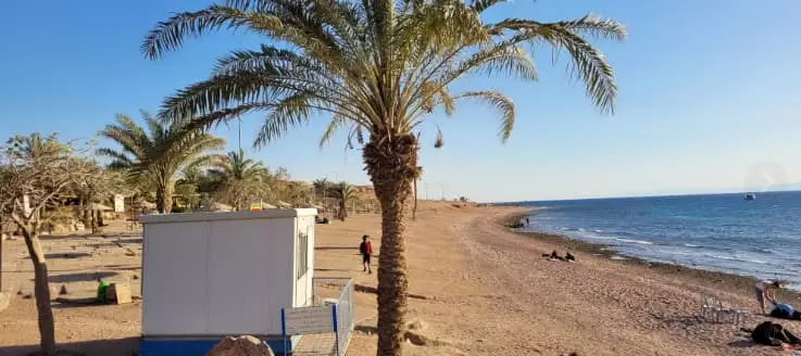 Your guide to getting to know southern beach of Aqaba and the most important activities ther