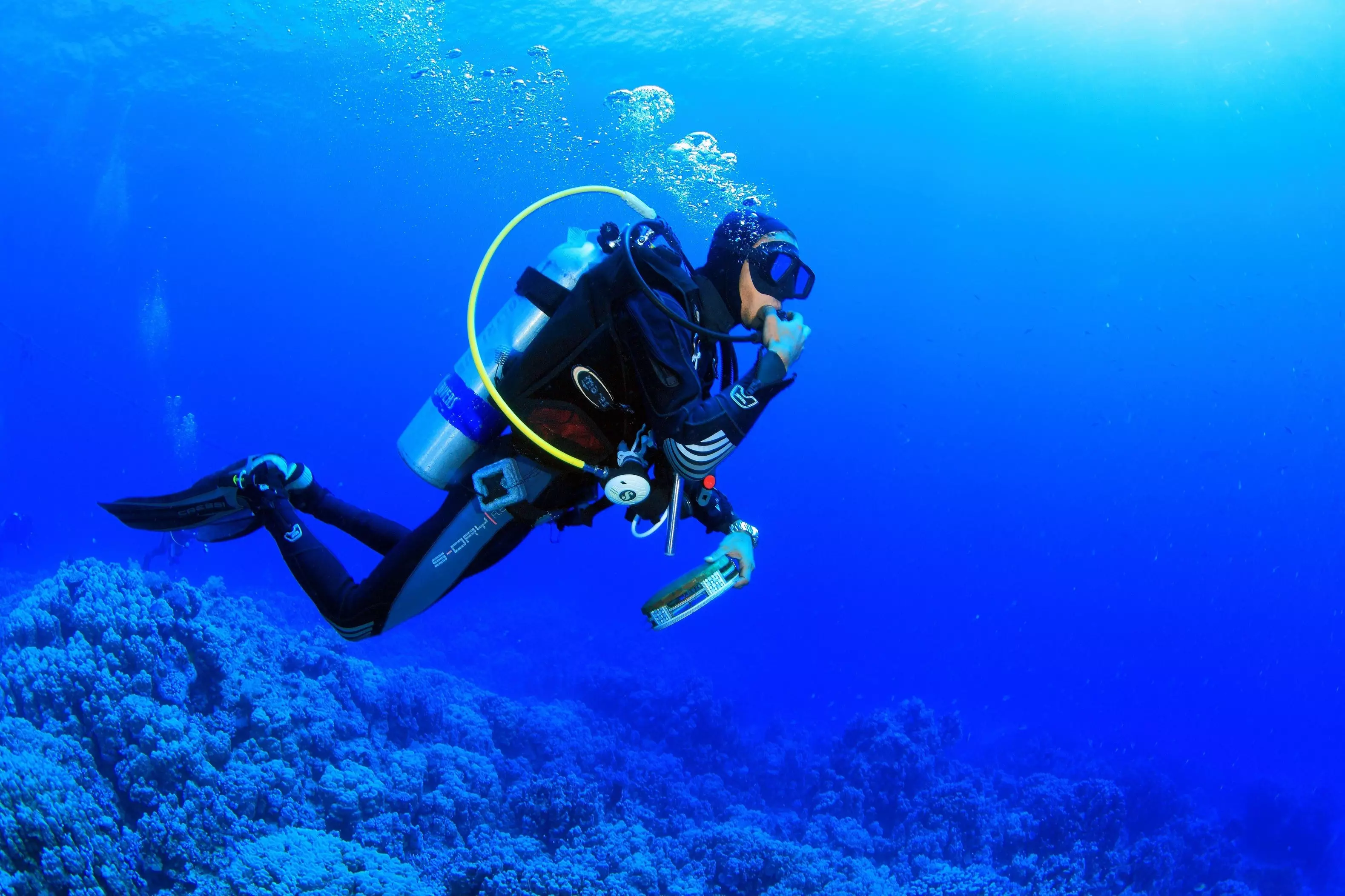 Scuba Diving In Jordan | Top 5 Sites